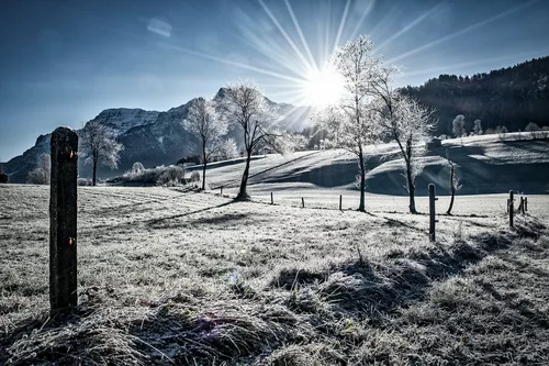 Happy Fence Friday - in Waidring (Tyrol)