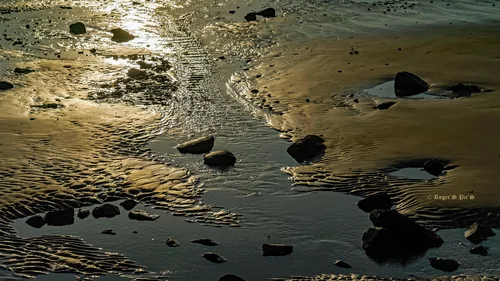 Beach Stream at Sunset