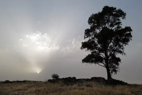 Penedos, Hot evening light