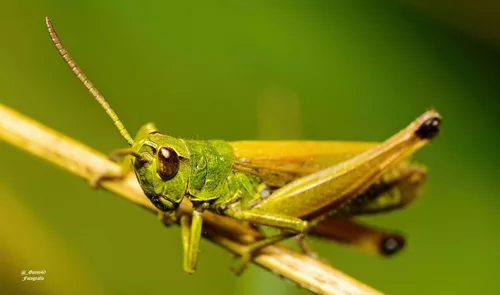 ......oh,das ging auch schon mal leichter.......