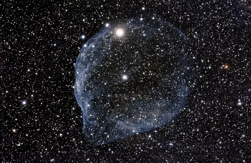 Dolphin Head Nebula SH2-308