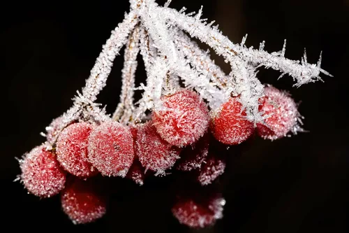 ......wir bleiben frisch.......