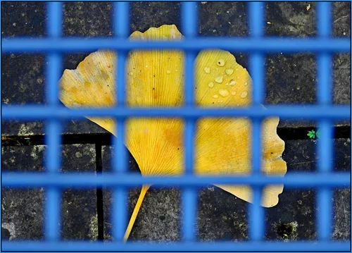 ...wer den Krieg gewinnen will, verliert den Frieden!