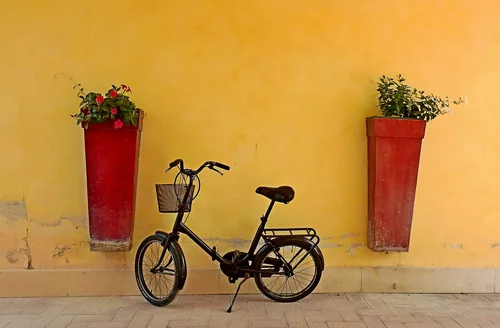 HWW....the italian stallion :)