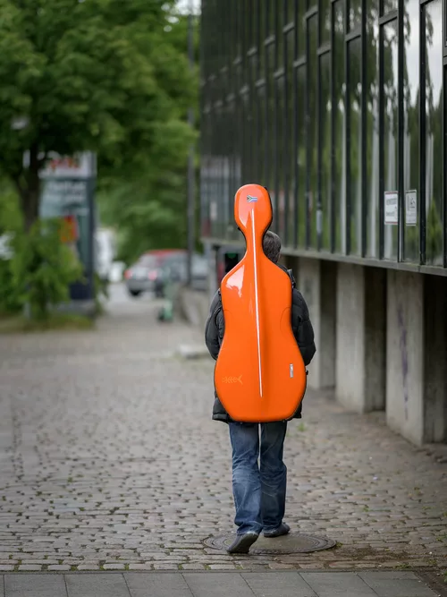 Violoncello (30.05.2022)