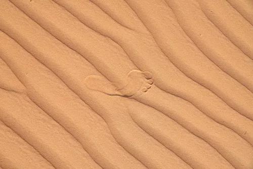 Brief illusion of being.