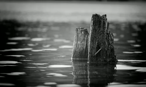 Im Wasser gefangen :))  Caught in the water :)) Coincé dans l'eau :))