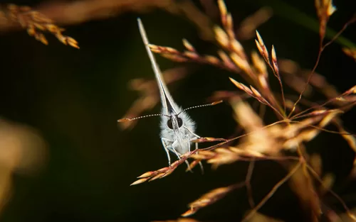 Die Fotografie ist für mich mein Tagebuch, für den Weltfotografietag 2023 :))  For me, photography is my diary, for World Photography Day 2023 :))  Pour moi, la photographie est mon agenda pour la Journée mondiale de la photographie 2023 :))