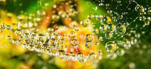 Die kleinen Wasserperlen sind alle aufgefädelt :))  The little water beads are all threaded :))  Les petites perles d'eau sont toutes enfilées :))