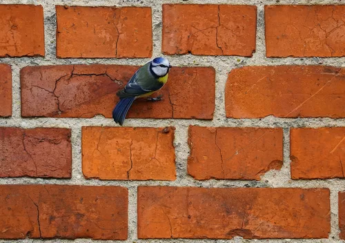 HWW - In der Steilwand