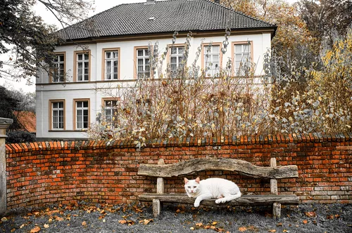 Bank vor herrschaftlichem Haus - HBM