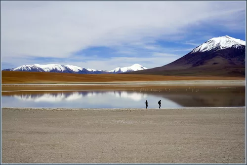 Desolate beauty of the Altiplano ~ Andes