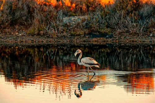 Roquetas de Mar, poco después del amanecer