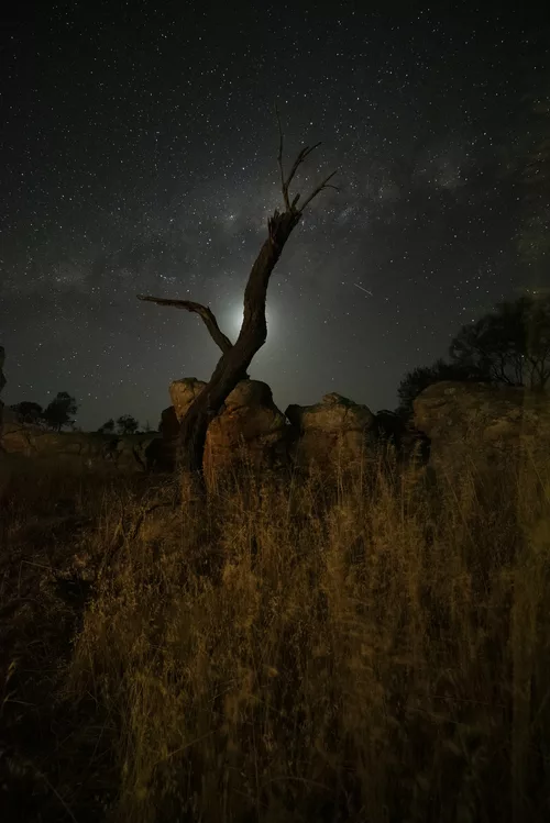 The Tree, The Moon, The Milky Way and The Rock all in a Hard place.