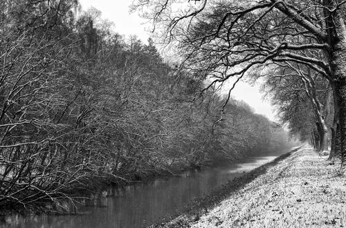 Winterzauber in schwarzweiß