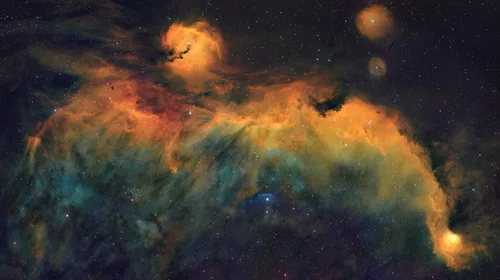 Seagull Nebula SH2-296