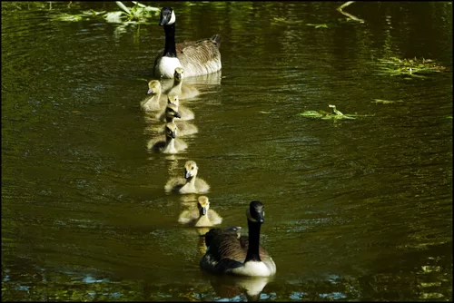 Familienfoto