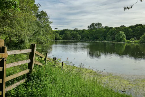 A  ''Happy fence Friday'' to all - from >  Dj.... 'pip'