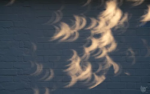 Sunlight during eclipse