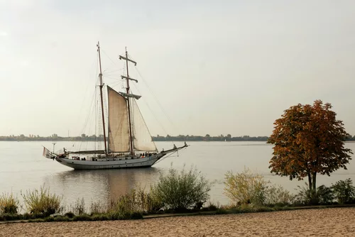 Elbsegler 3
